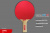 Теннисная ракетка Start line Level 100 New (анатомическая) 12201 Теннисная ракетка Start line Level 100 New (анатомическая) 12201