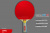 Теннисная ракетка Start line Level 300 New (коническая) 12402 Теннисная ракетка Start line Level 300 New (коническая) 12402